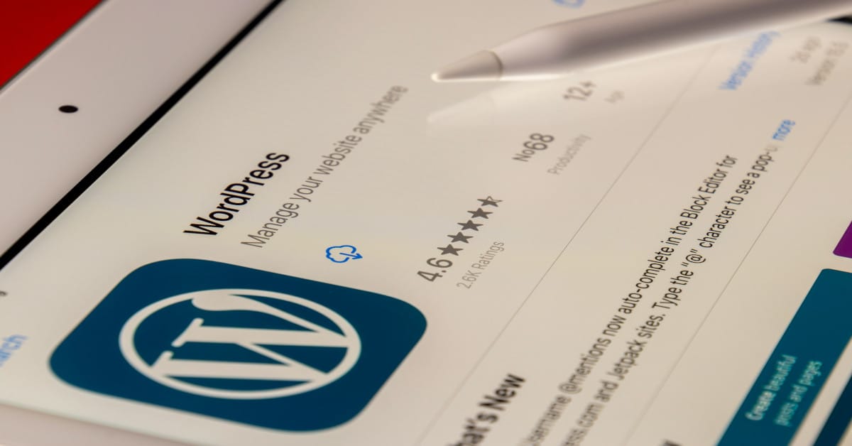 Read more about the article What is a WordPress Website